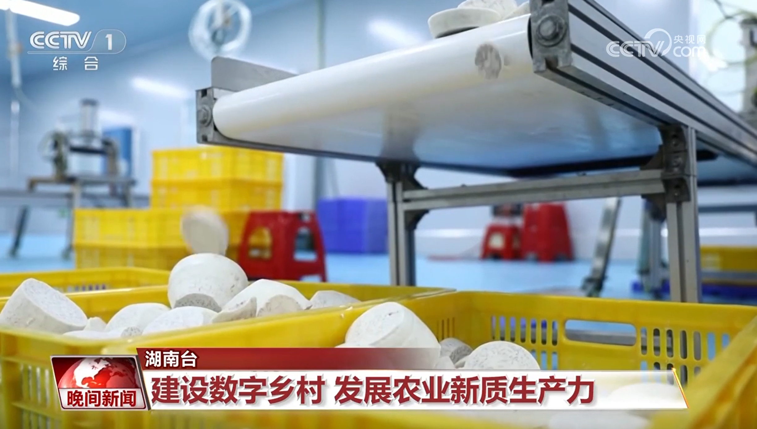 观两会 看发展丨新质生产力引领 中国经济发展“活力满满”(图4) 观两会 看发展丨新质生产力引领 中国经济发展“活力满满”(图4)