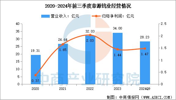 2025年中国钨行业市场前景预测研究(图16) 2025年中国钨行业市场前景预测研究(图16)